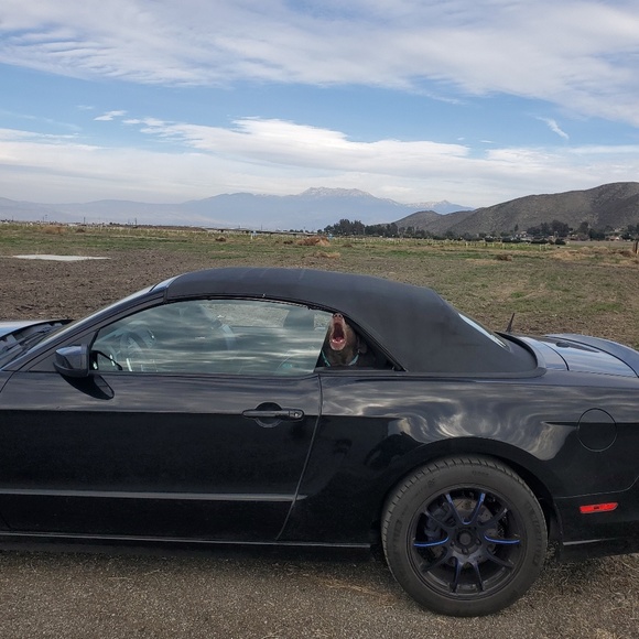 Meet your Posher, Peter - Picture 1 of 1